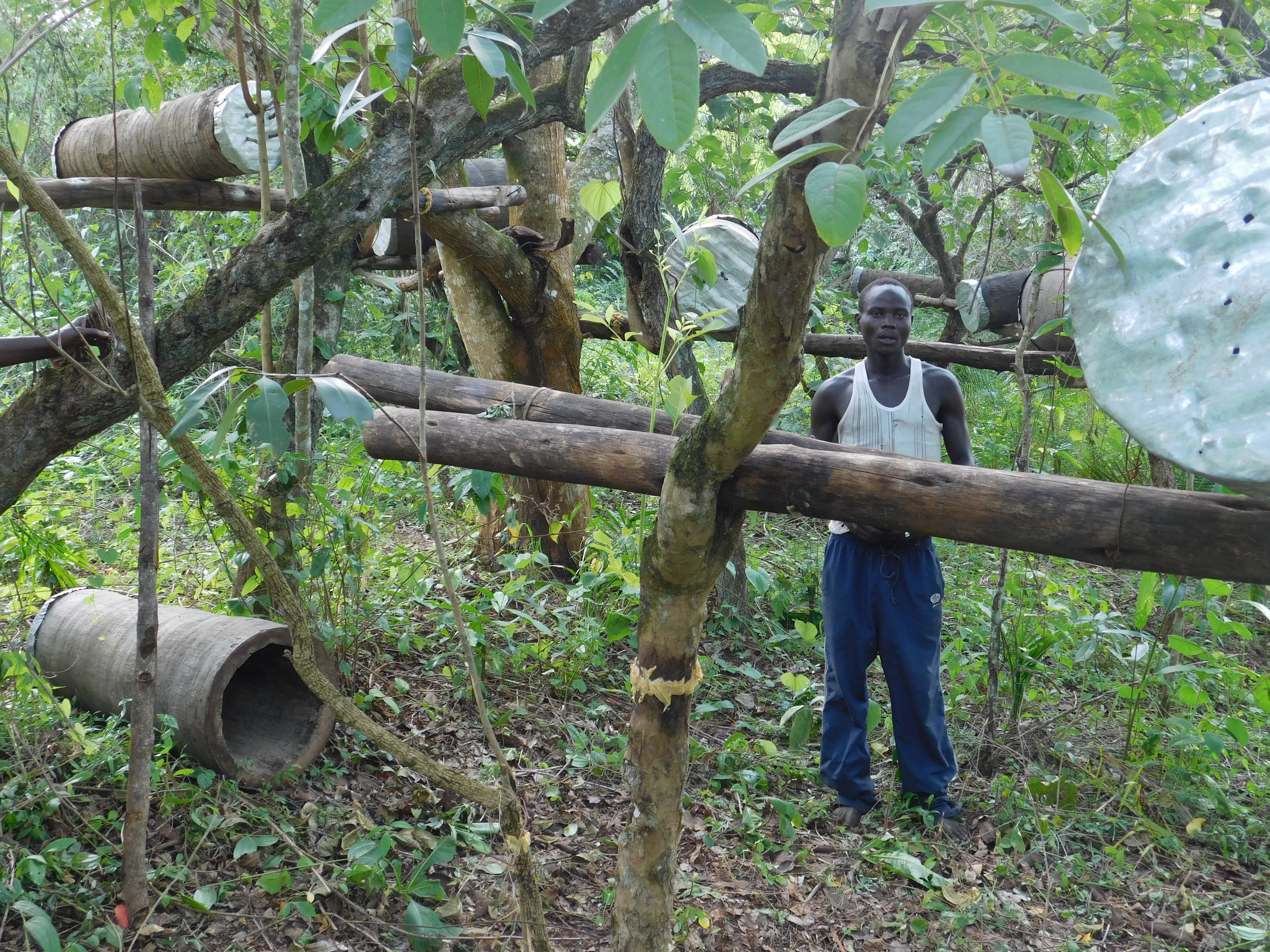 Farmer with individual hives