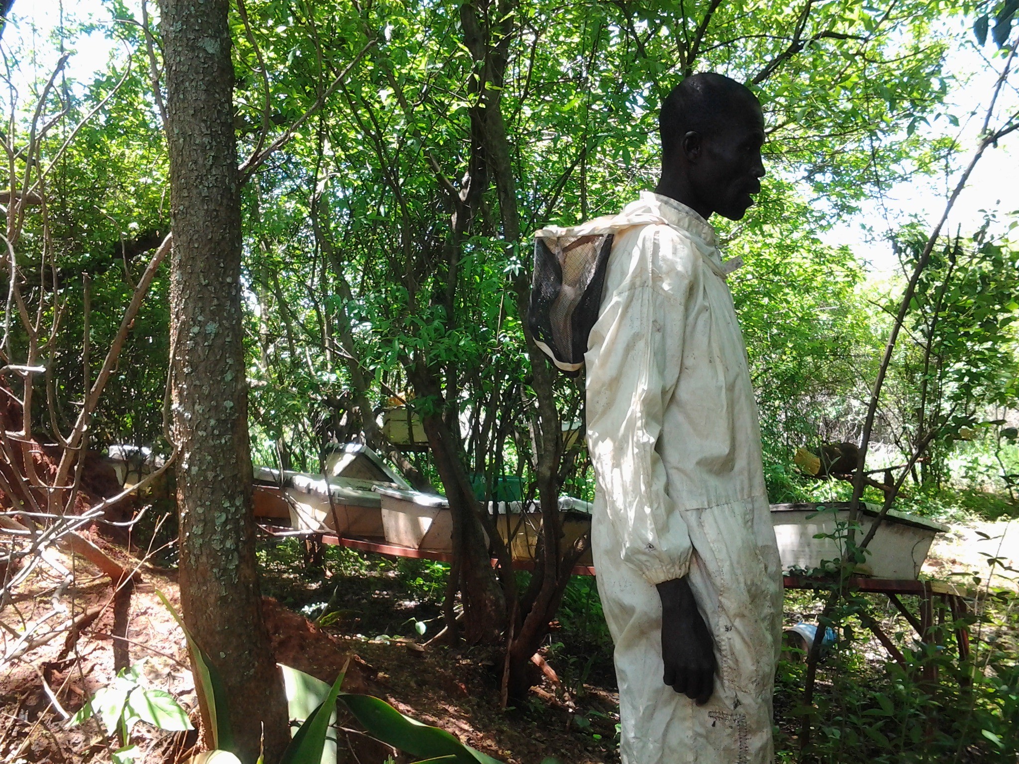 Farmer at the apiary
