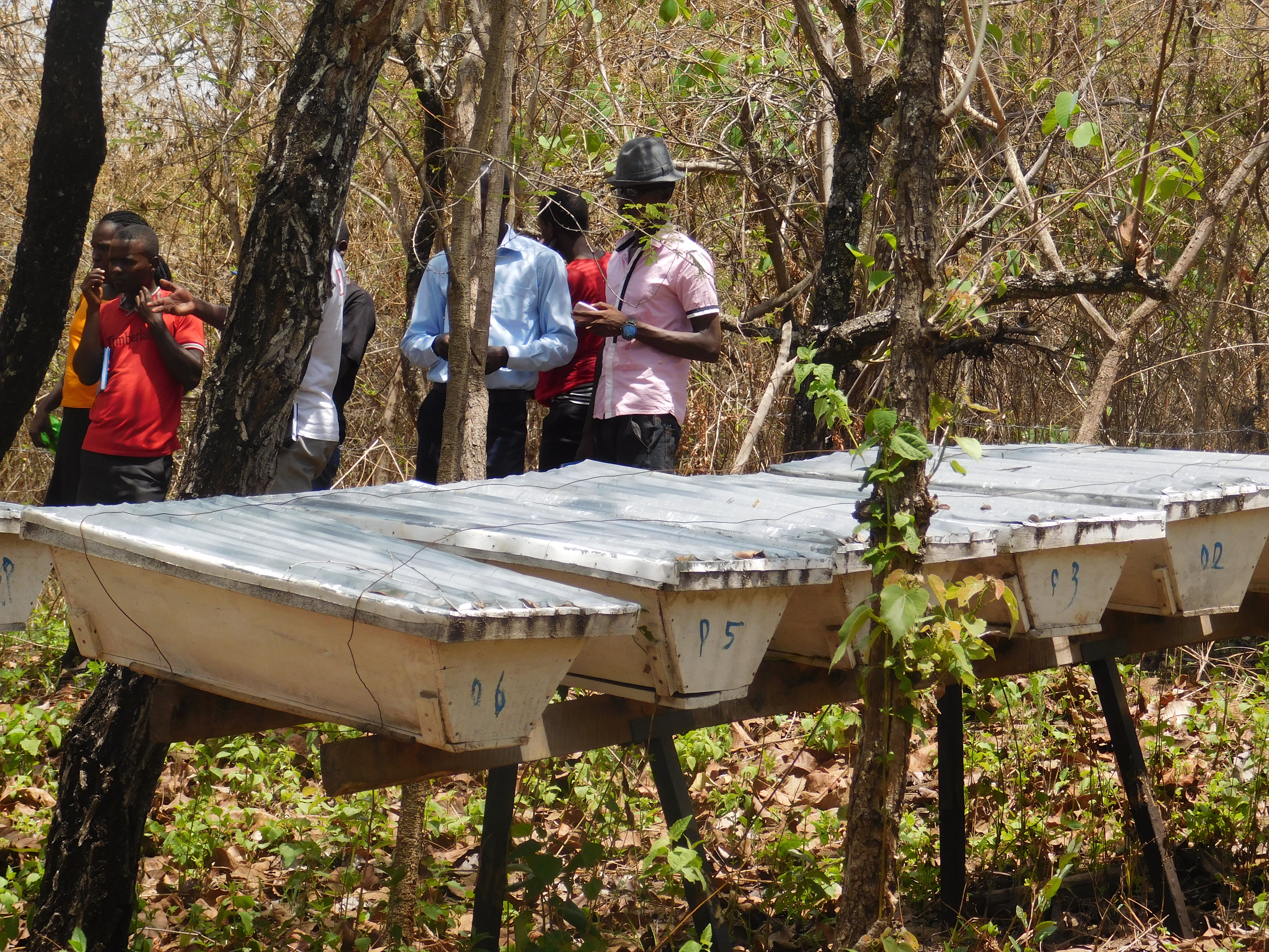 Beekeeping community, Arua district