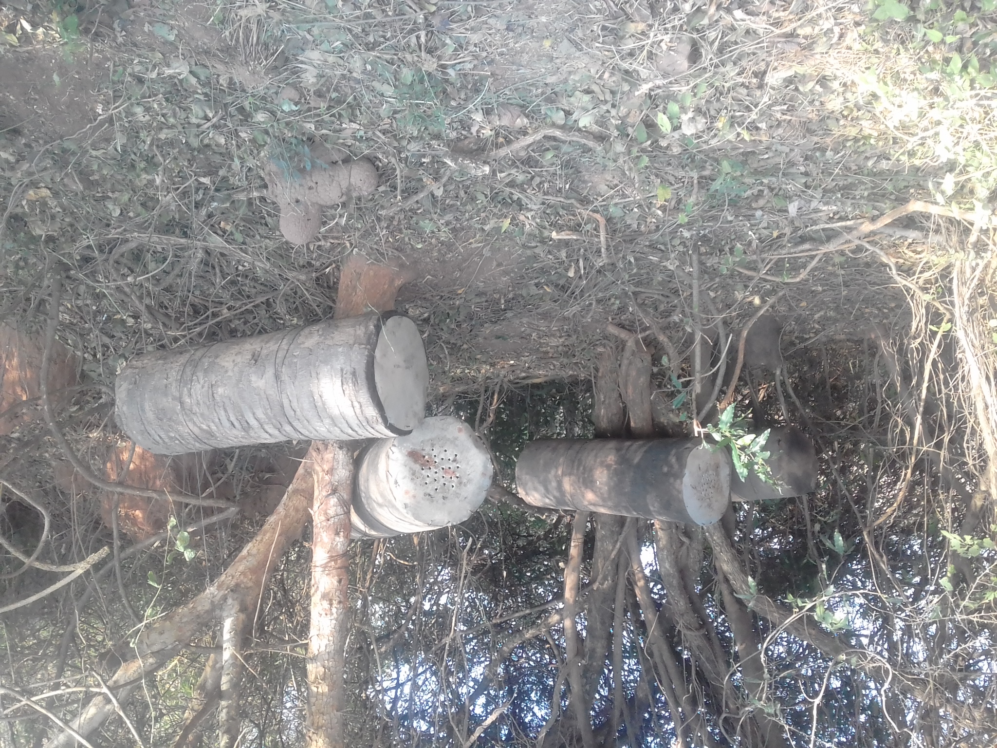 Traditional log hives, West Nile Uganda