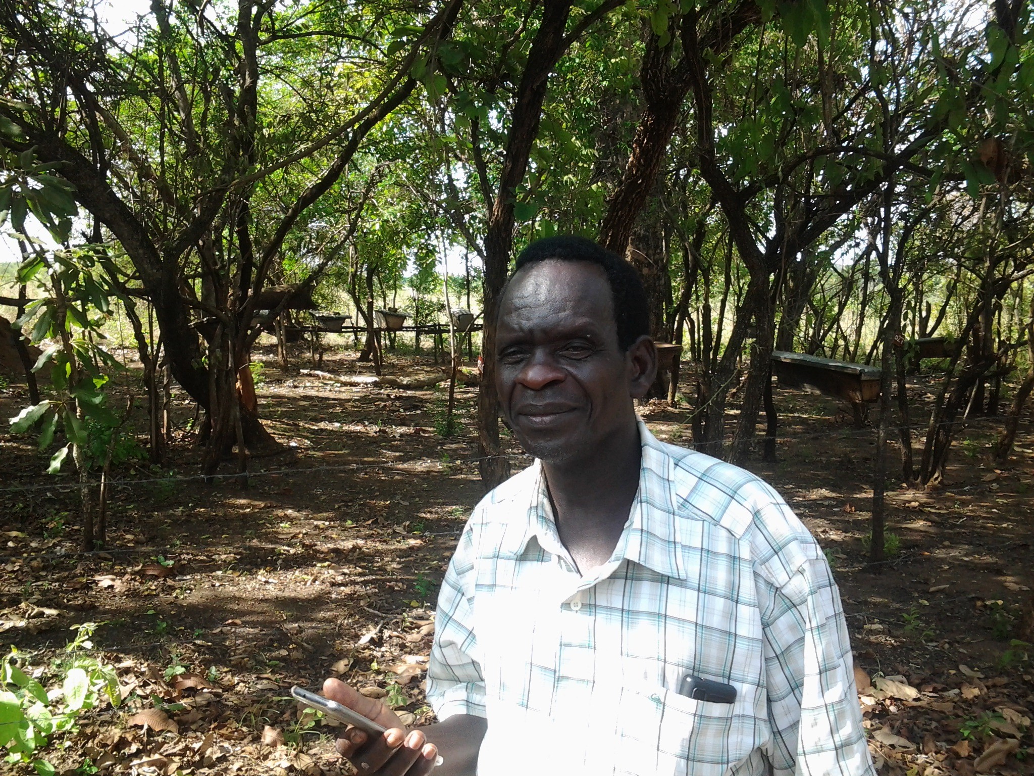 Farmer at the apiary smiling
