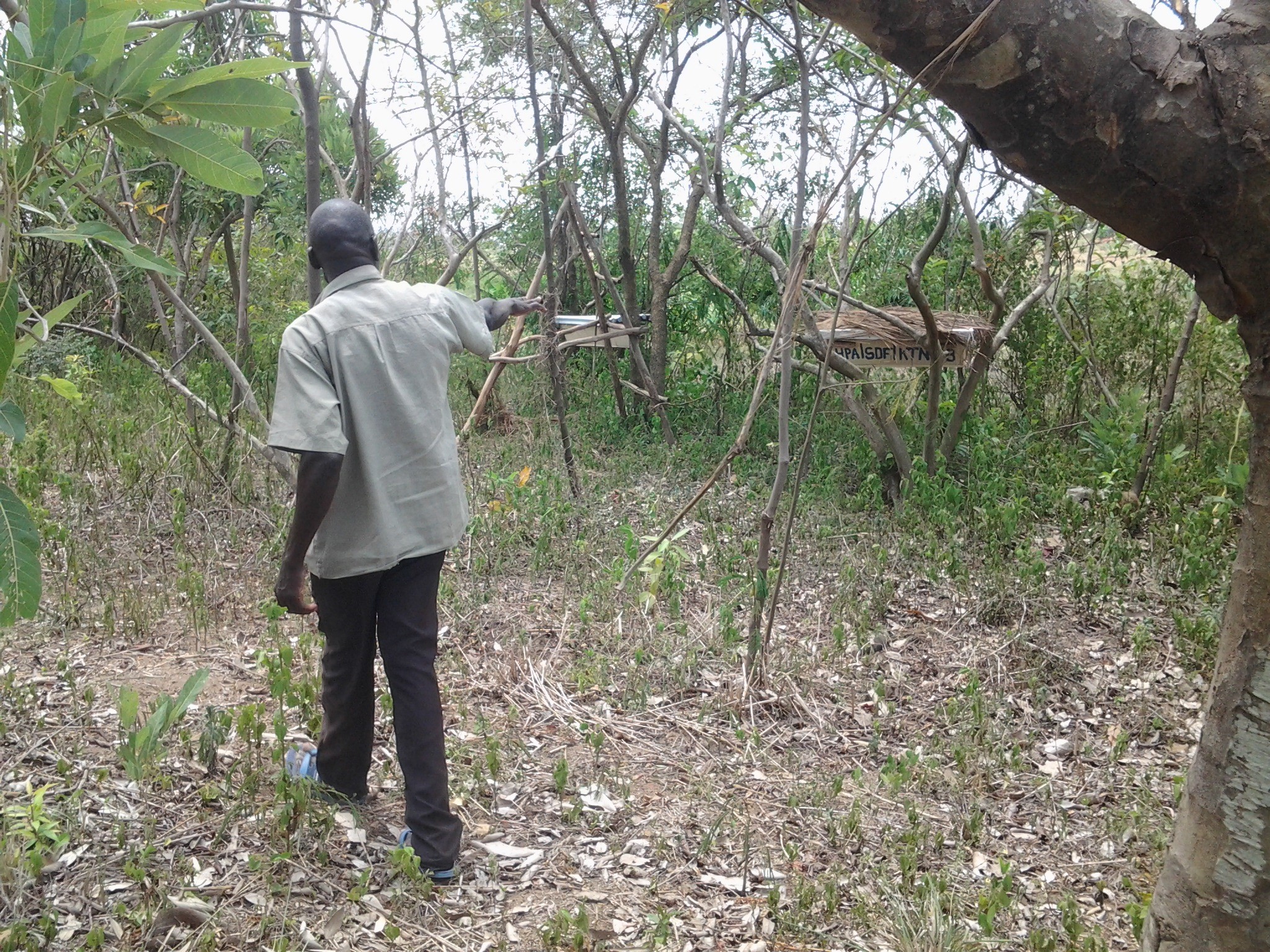 Richard Ozuma, Katrini, Arua
