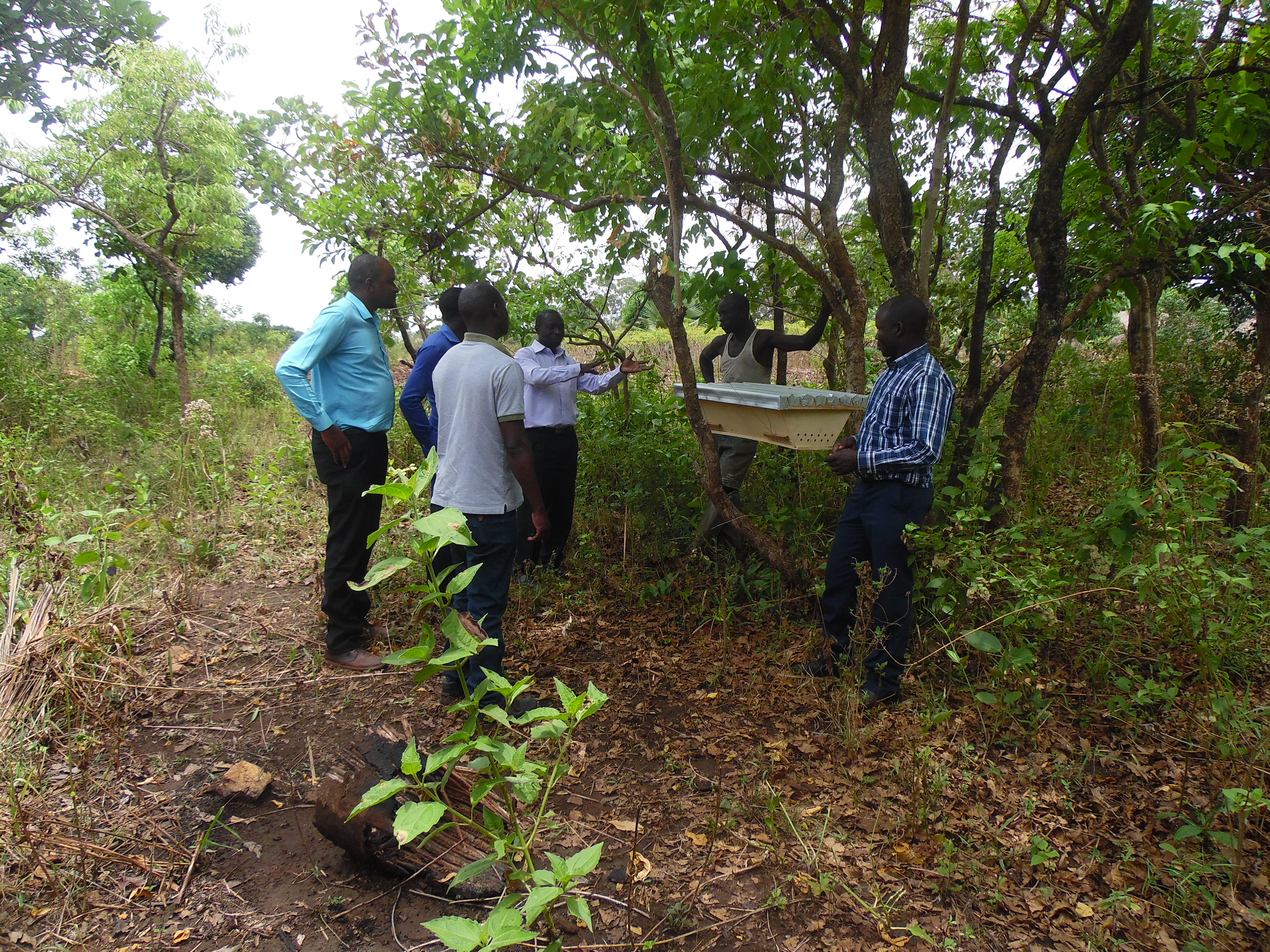 MSC monitoring field visit